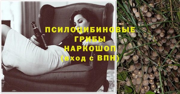 кристаллы Бородино