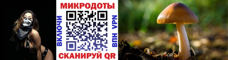 Купить закладки  Емва  Галлюциногенные грибы Psilocybe 